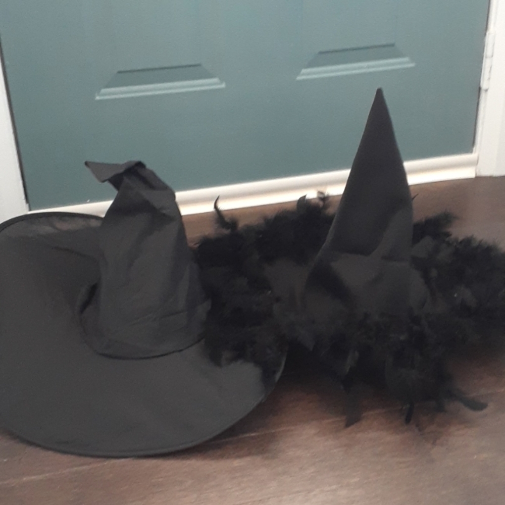 Pair of witch hats - everyday and feather formal! 🍂